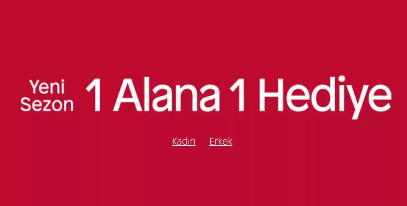 Aldo kataloğu, İstanbul | 1 ALANA 1 Hediye | 13.11.2024 - 27.11.2024