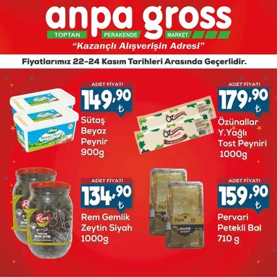 Anpa Gross kataloğu, İstanbul | Anpa Gross katalog | 22.11.2024 - 06.12.2024