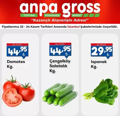 Anpa Gross kataloğu, Gaziantep | Anpa Gross katalog | 23.11.2024 - 07.12.2024