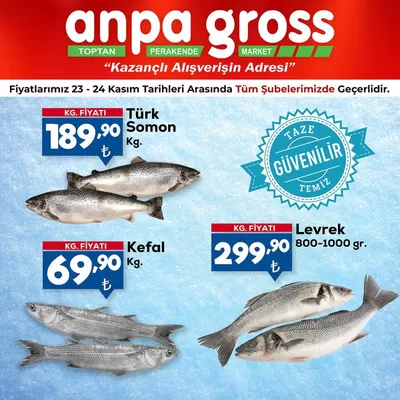 Anpa Gross kataloğu, Gaziantep | Sizin için en iyi fırsatlarımız | 23.11.2024 - 07.12.2024