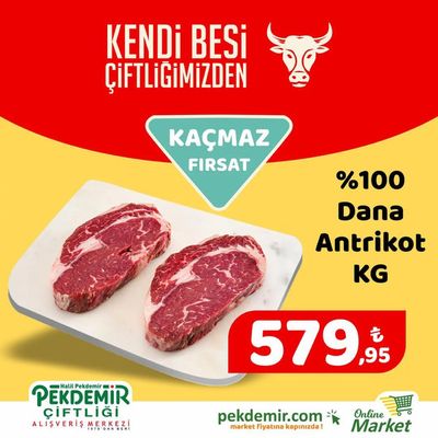 Süpermarketler fırsatları, Aydın (Aydın) | Kaçmaz Firsat de Pekdemir | 19.03.2024 - 02.04.2024