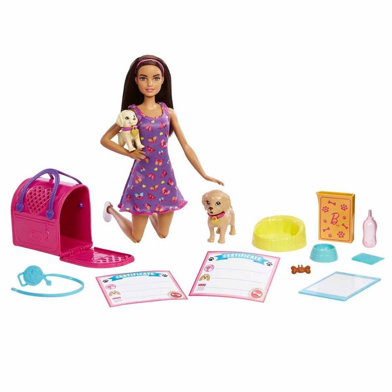 Toyzz Shop içinde 449,99 TL fiyatına Barbie ve Köpekçikleri Oyun Seti HKD86 fırsatı