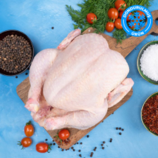 Arden Market içinde 109,99 TL fiyatına Akdeniz Toros Donuk Bütün Tavuk Kuru Yolum Kg fırsatı